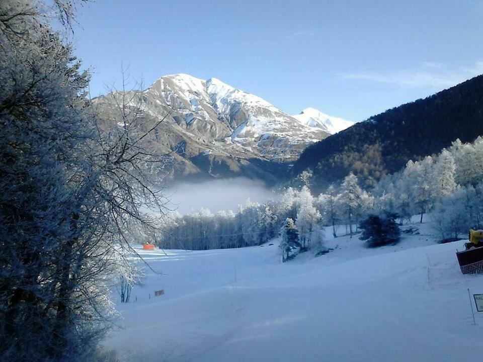 Le Stella